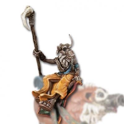 Goûn Shaman Rider